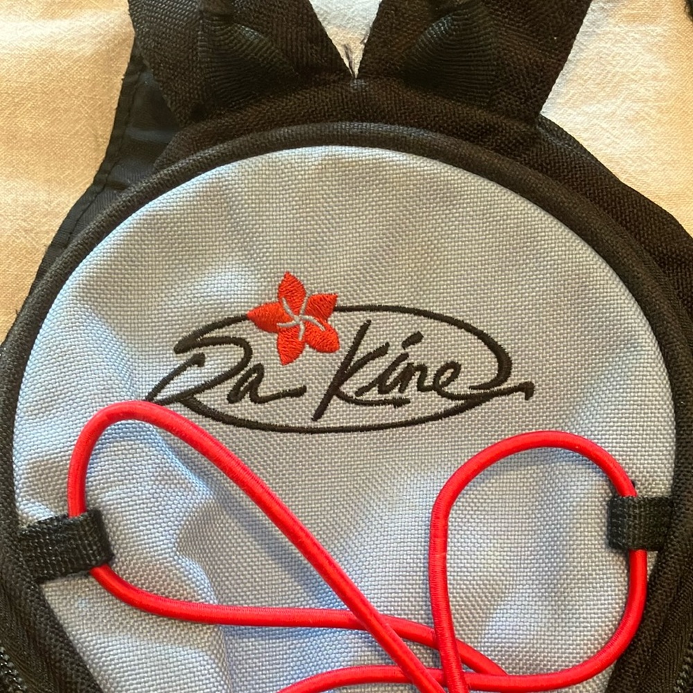 Dakine Backpack